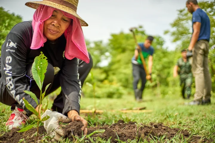 Femme plantant un arbre lors d’une action en extérieur